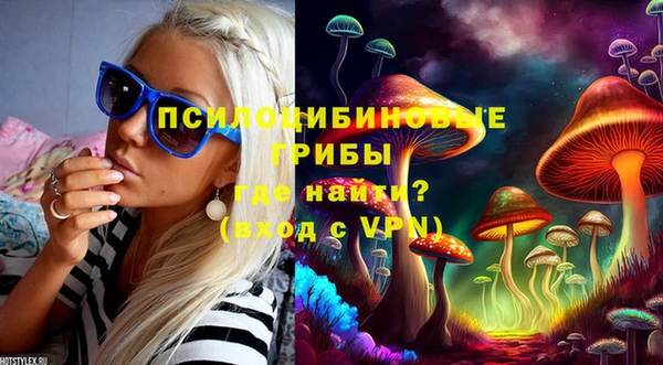 а пвп мука Белокуриха