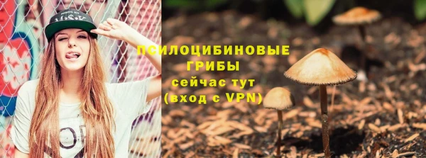 а пвп мука Белокуриха