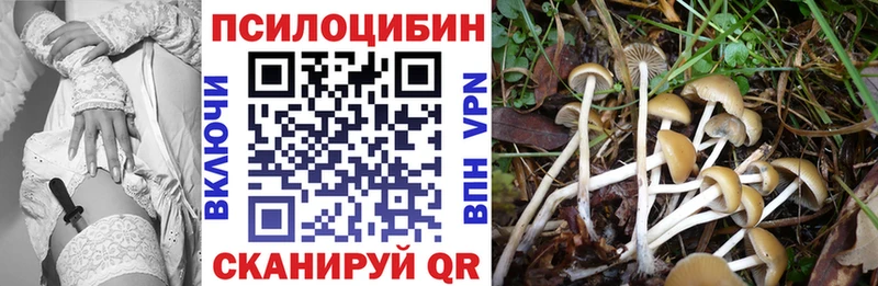 Псилоцибиновые грибы Psilocybine cubensis наркошоп Карпинск